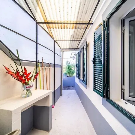 Bela Vista 20th Century House